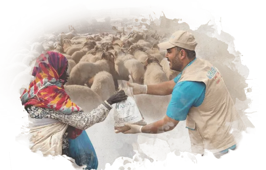 Kurban Kampanyası