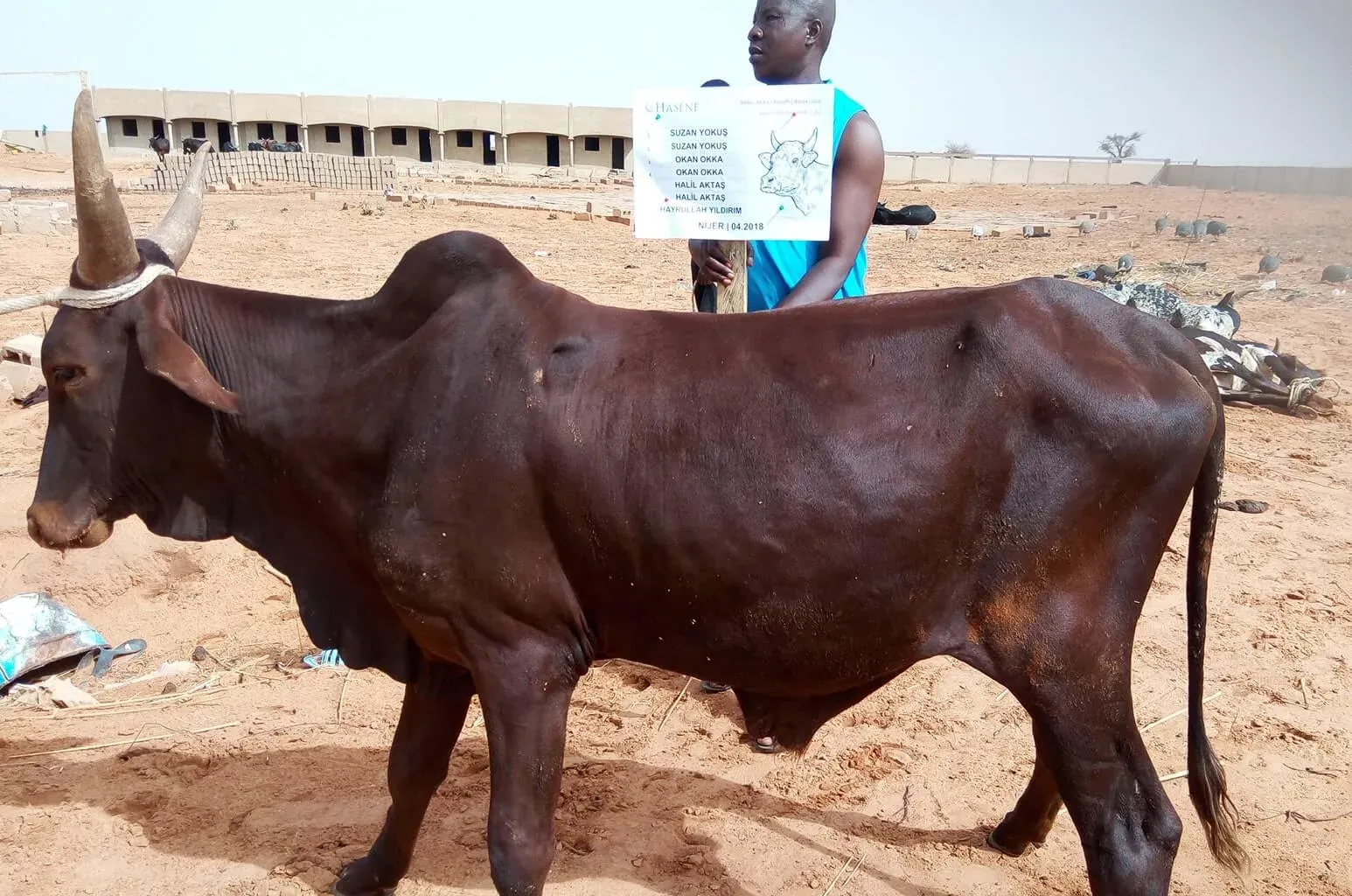 adak-4-1024x678